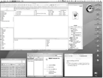 Figure 2.4The Mac OS X GUI.