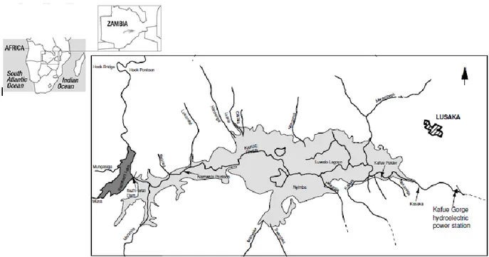 Figure 1. Outline of Kafue Flats floodplain. (Source: modified from WWF-Zambia, 2006) Light  grey shading shows extent of floodplain