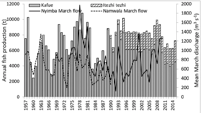 Figure 2. Trends in total fish catches (t) from the Kafue Flats and relationship with mean March  discharge at Itezhi-tezhi