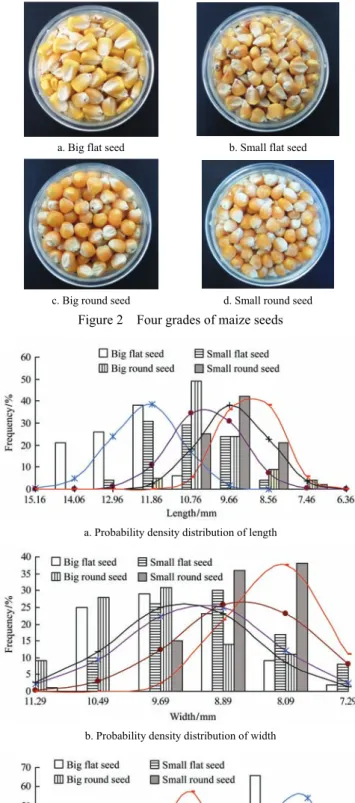 Figure 3    Probability density distributions of dimension size 