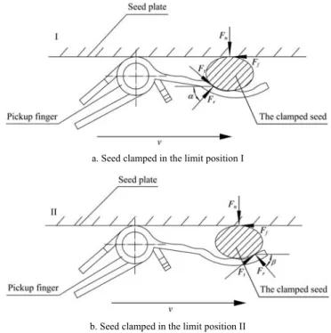 Figure 6    Diagram of forces system on the clamped seed 