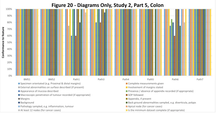 Figure 20 - Diagrams Only, Study 2, Part 5, Colon