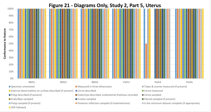 Figure 21 - Diagrams Only, Study 2, Part 5, Uterus