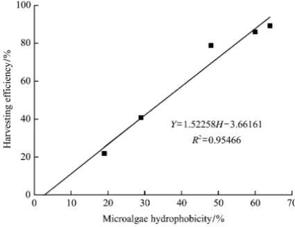 Figure 6  Relationship of hydrophobicity and harvesting efficiency of Chlorella with using C16TAB at pH 8 