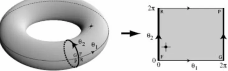 Figure 2.2: A visualization of Configuration Space for a double pendulum [5]