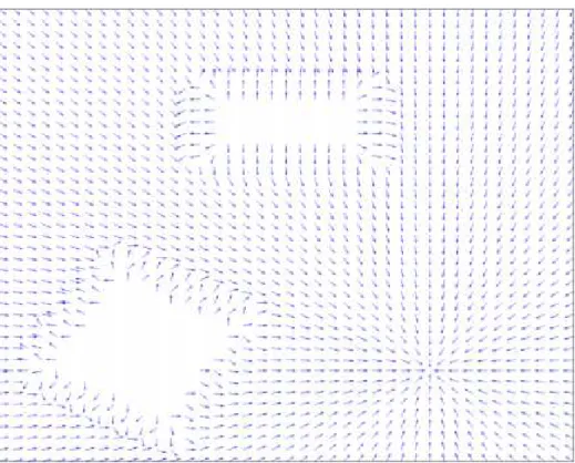 Figure 3.2: Negated gradient vector field
