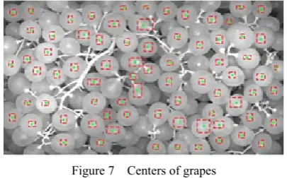 Figure 7  Centers of grapes 