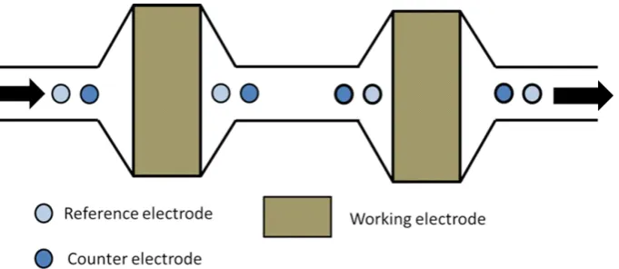 Figure 3.Figure 3. Cross section through a dual coulometric electrode showing the placement of working, counter and palladium-hydrogen reference electrodes, after Honeychurch [18]