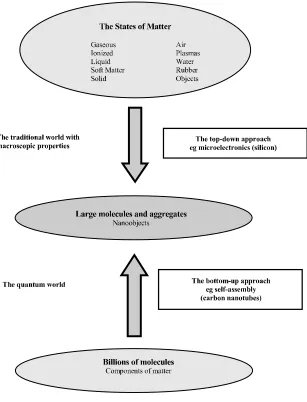 Figure 1.3. Two technological approaches to the nanoworld: top-down and bottom-up 