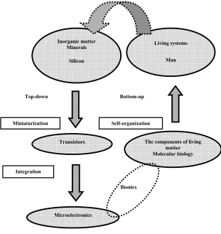 Figure 1.4. Self-organization in the bottom-up approach (eg living systems),  Two key points: miniaturization and complexity