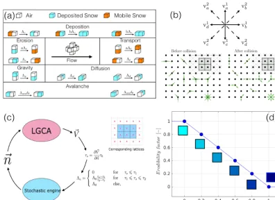 Figure 1. Description of the modelling framework. (a) Transition rules for CA of snow transport