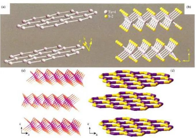 Figure 3-3 : Comparison of the structures of (a) graphite and inorganic layered compounds such as (TaS(b) NbS2/TaS2; (c) MoS2; (d) BN