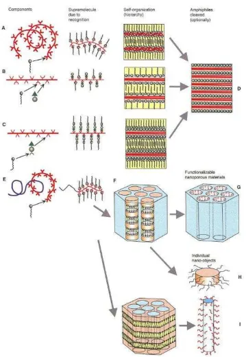Figure 3-7 : Comb-shaped supramolecules and their hierarchical self-organization, showing primary combination of bondings (recognition) is generally required to oppose macrophase separation tendency