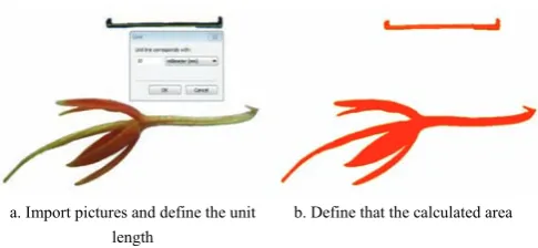 Figure 3  Process of calculating safflower lengths and areas with 