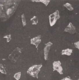 Figure 7. Area Q micro-debitage sample including chert and crystal-quartz specimens (60x magnification)