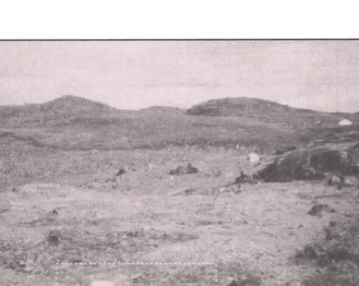 Figure 2. Area Q location prior to excavation, Tungatsivvik (KkDo-3). The dashed line indicates the approximate outline of the subsurface Pre-Dorset component