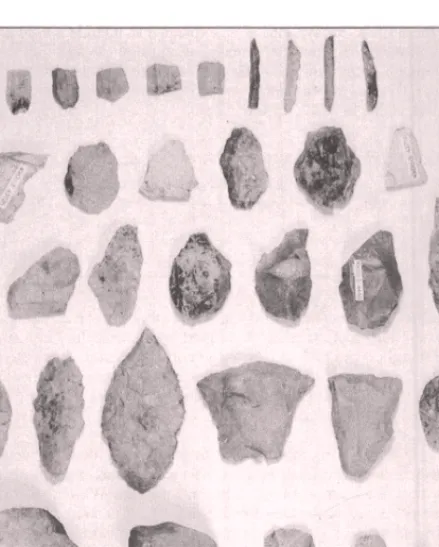 Figure 3. Sample of the Area Q artifacts including microblades, burins spalls, informal tools, burins, bifaces, endscrapers, and core fragments