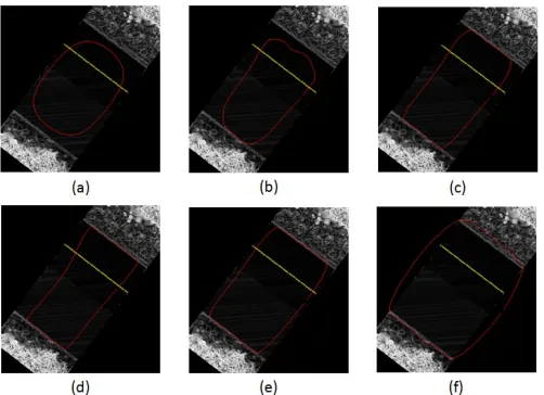 Fig. 3. Final position of the snake curve is represented in red over the sloperaster surface in the (a) ﬁrst, (b) second, (c) third, (d) fourth, (e) ﬁfth and (f)sixth case of external energy parameter analysis, while the navigation pointsare represented in yellow.