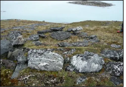 Fig. 3: A new type of  structure was  discove-red in the Nuuk area.  