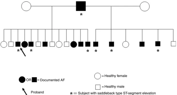 Figure 1 Pedigree of a family with a high prevalence of lone AF and saddleback-type ST-segment elevation