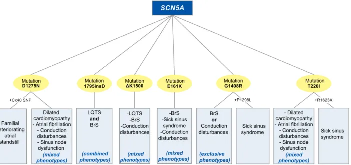 Figure 3. Genetic overlap of the SCN5A gene via the D1275N, 56-58  1795insD, 59-61  ΔK1500, 62  E161K, 63  G1408R, 55,64  T220I 55,58  mutations.