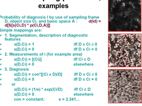 Figure 2Examples of different sampling proceduresExamples of different sampling procedures.