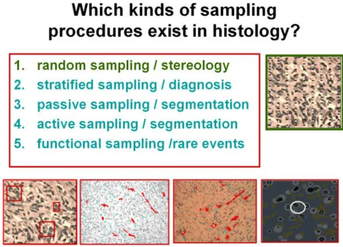 Figure 6Survey of different sampling proceduresSurvey of different sampling procedures.