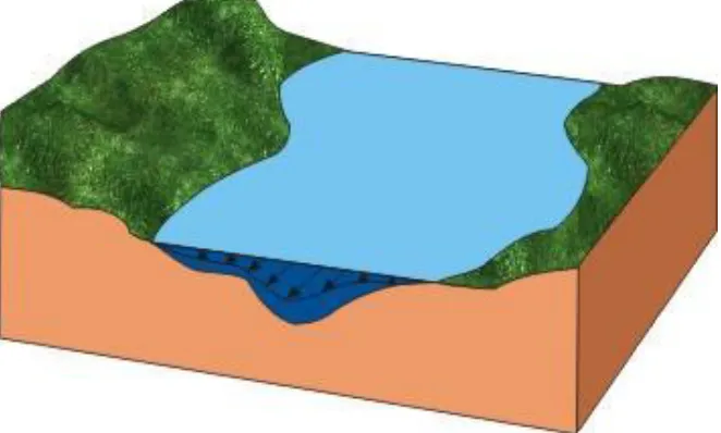 Figure 5, showing that the velocities over the flood plains is smaller compared to the main stream flow