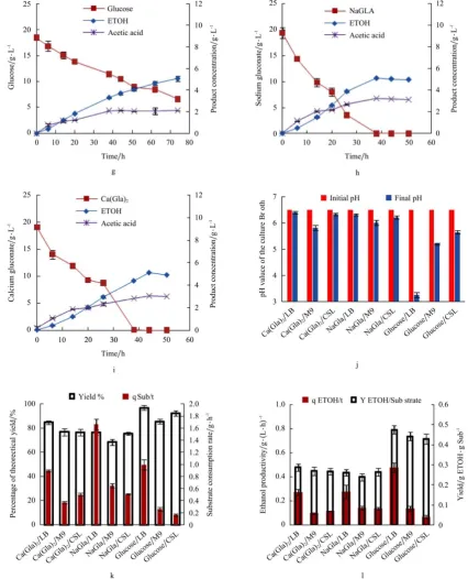 Figure 2  Comparison of glucose, sodium and calcium gluconate ethanolic fermentation in LB, CSL, and M9 medium