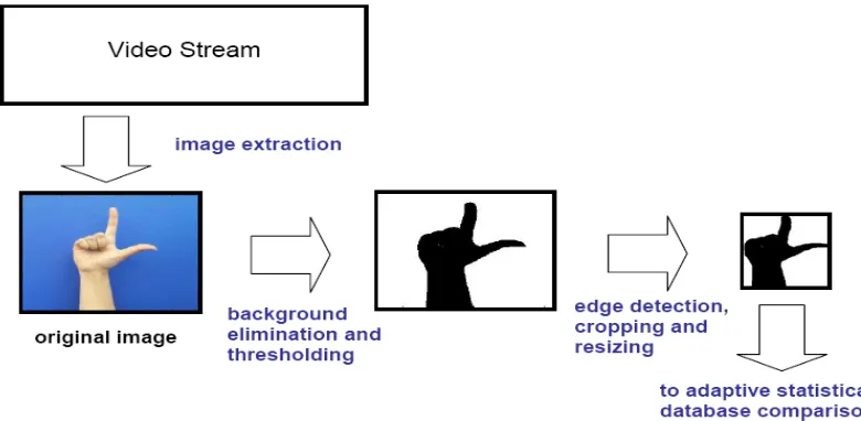 Fig 5: Image processing procedure 