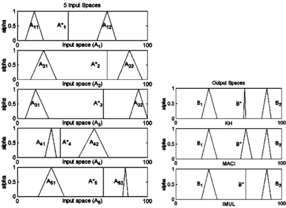 Fig. 6. Singleton fuzzy set.