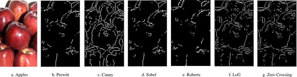 Figure 10Canny is the best among results offruits edge detection