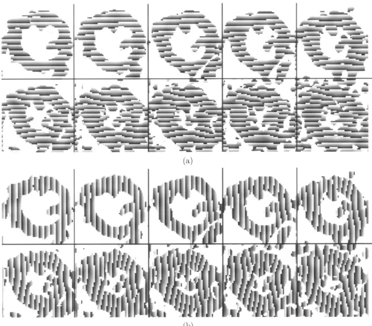 Fig. 8. (a) Horizontal and (b) vertical angle images derived from the tagged images in Figs