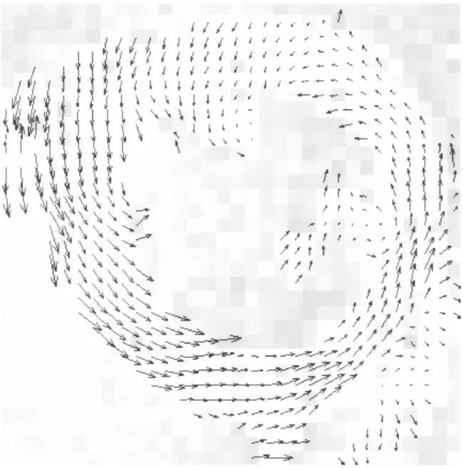 Fig. 10. The displacement field calculated from the second pair of tagged images in the image sequence of Fig