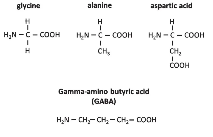 Figure 2. Chemical structure of the compounds produced in large quantity in Stan Miller’s apparatus after a few days.