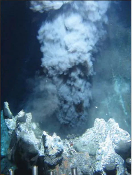 Figure 4. Th e “smoke” rising from a deep sea hydrothermal vent.  Source: https://commons.wikimedia.org/wiki/File:High_Rise_black_smoker.jpg.