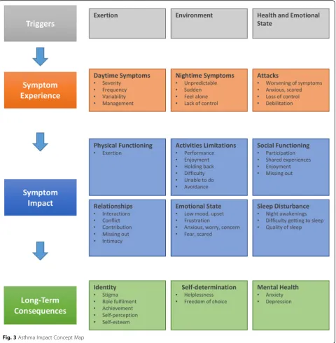 Fig. 3 Asthma Impact Concept Map