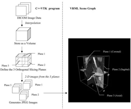 Fig. 9. Pipeline of VRML 3-D Slicing. The DICOM image data are either original or following standards conversion (see Fig