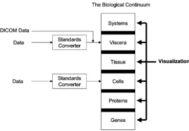 Fig. 3. Visualization across all the levels of the BC based on a common Visualization Package schema.