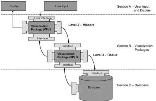 Fig. 4. Schema of multilayered visualization. At section B only two-levels of the BC are shown (i.e., visceral and tissue) in the diagram, for convenience.