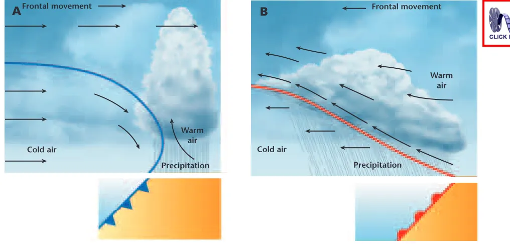 Figure 12-7 These dia-grams show the structuresof the four main types offronts. Symbols below eachdiagram indicate how thefronts are represented on aweather map