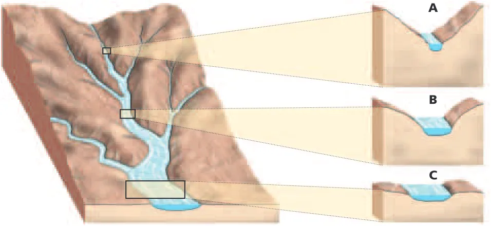 Figure 9-9 Several days of