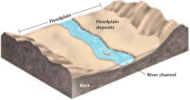 Figure 9-10 Floodplain