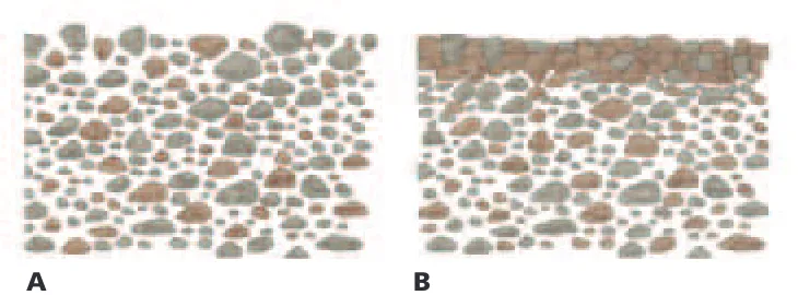 Figure 9-2 Soil that has