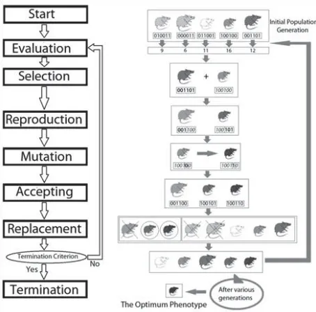 Figure 1.Genetic Algorithms Representation Simulating Natural ExampleSource: Haupt & Haupt, 2006: 28 