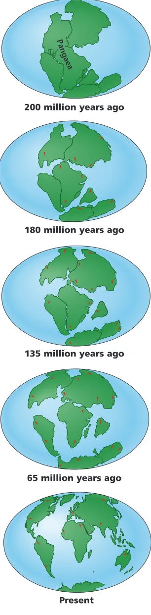 Figure 17-1 Pangaea was an ancient