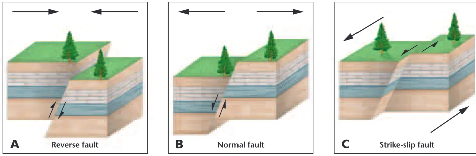Figure 19-3 Reverse faultsform when horizontal stressis exerted on a rock bodyfrom opposite sides (A).Normal faults form whenbodies of rock are pulledfrom opposite sides (B).Strike-slip faults are causedby horizontal shear stress (C).