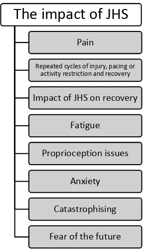 Figure 2. Sub-themes associated with ‘The impact of JHS’.