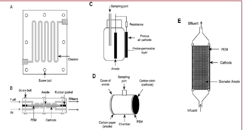 Figure 2.1. (A) Dual-chamber cylindrical MFC, (B) rectangular, (C) mini-MFC, (D) cylindrical with up flow configuration