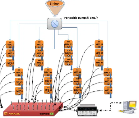 Fig. 4.10 Stage 3: Setup of eight groups of MFC triplets sequentially fed and electrically 
